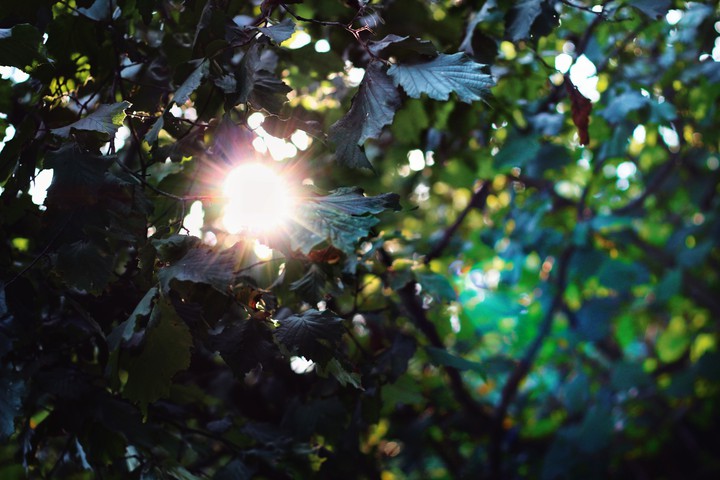 sun is shining summer vibes