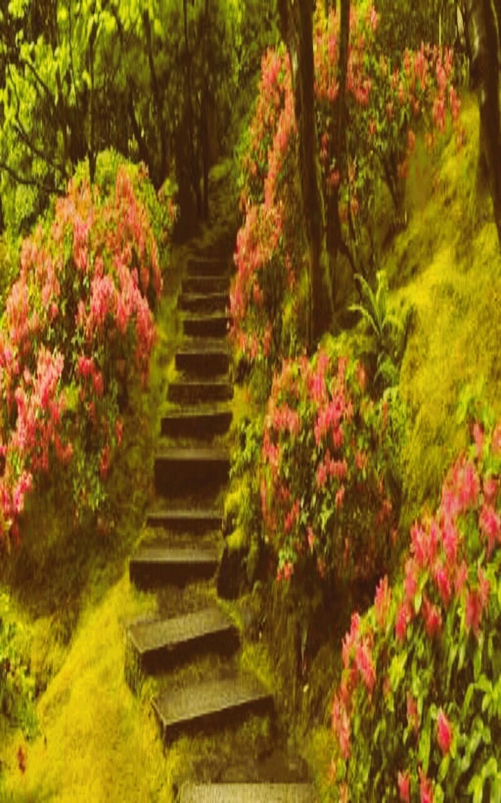 nature