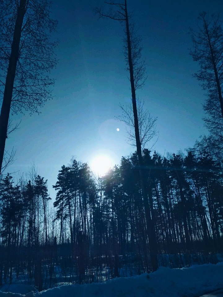 Winter Nature