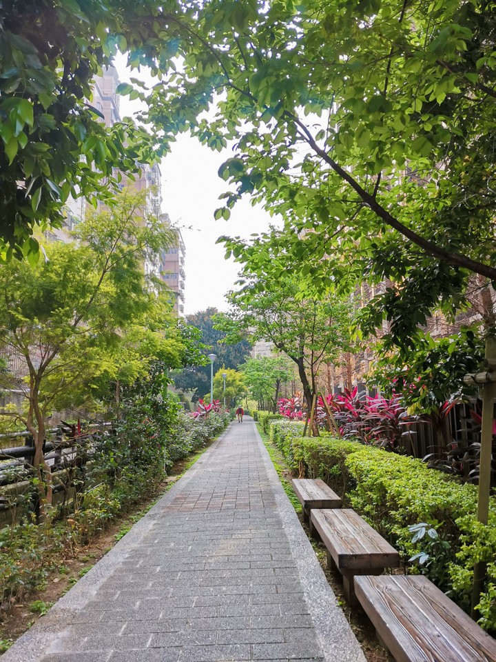 walking
