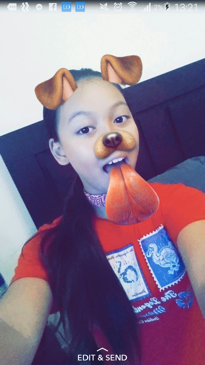 Cutedogclaire