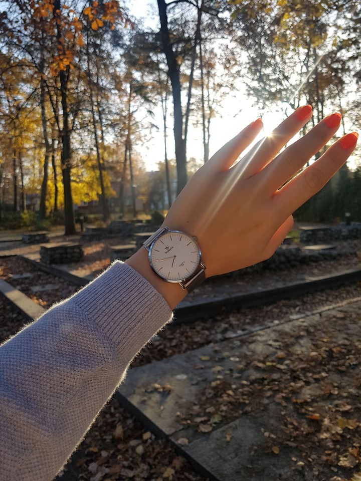 Sunlight ?