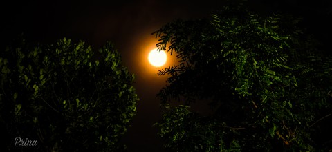 Night Time View
