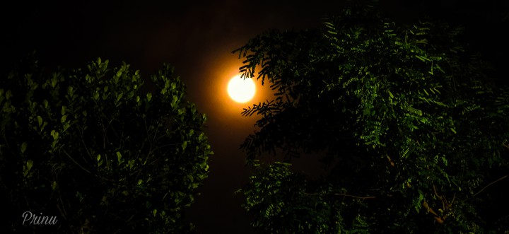 Night Time View