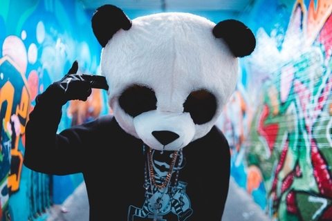 Panda mask man