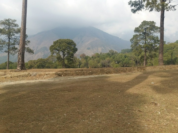 himachal pradesh