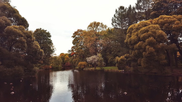 Autumn