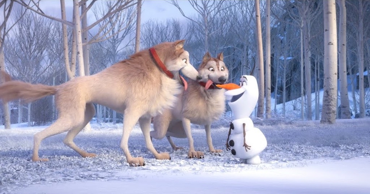 " DOGGIES "