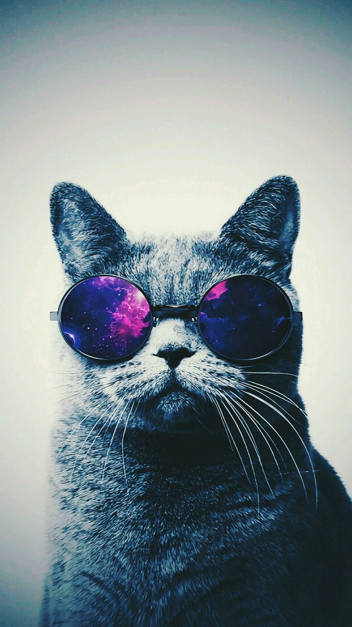Cat©