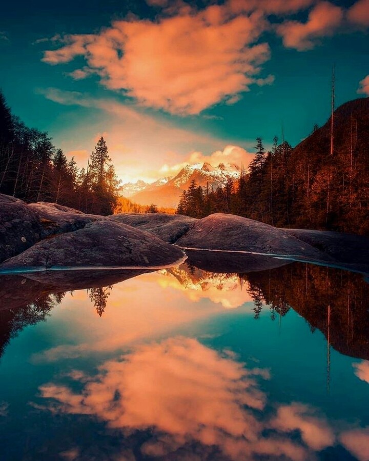 .