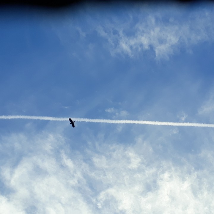 sky