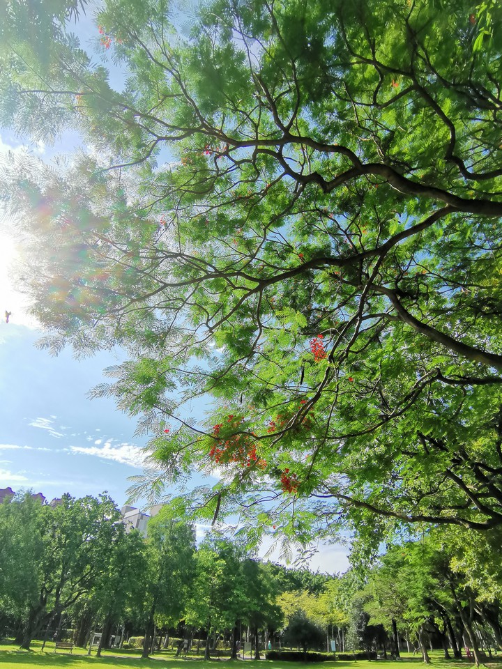 sunny morning