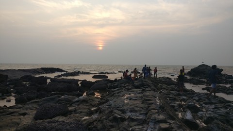 nature