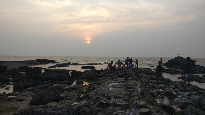 nature