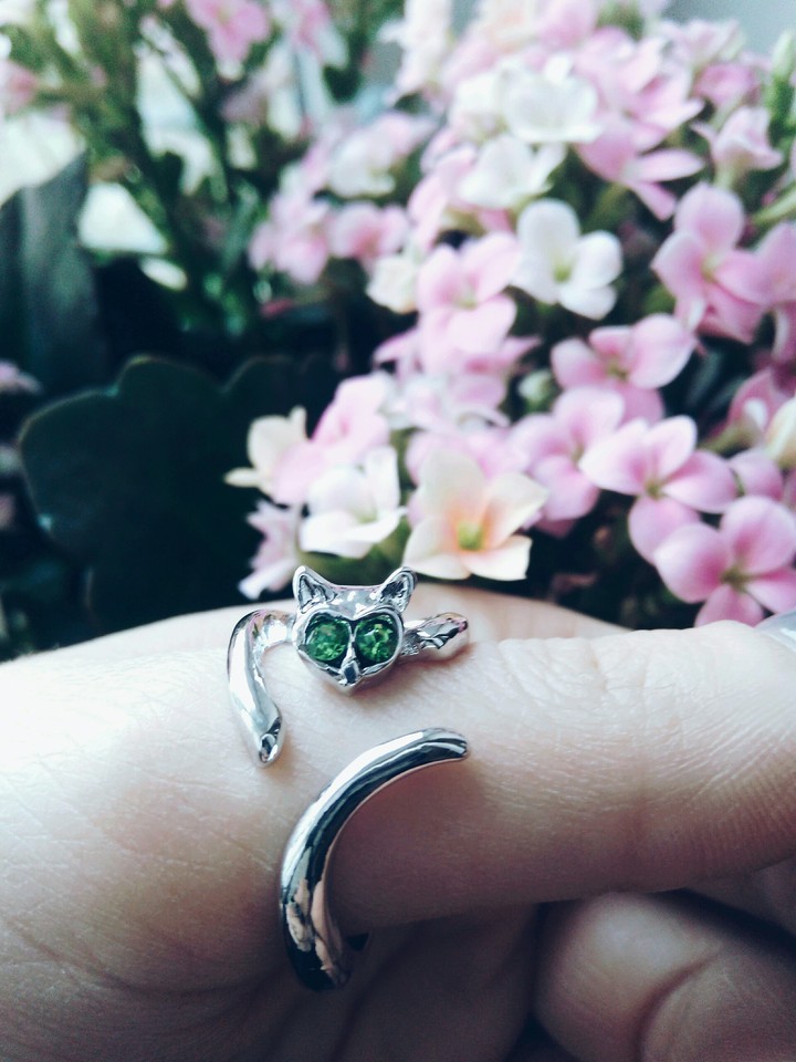 cat, ring, flowers, pink