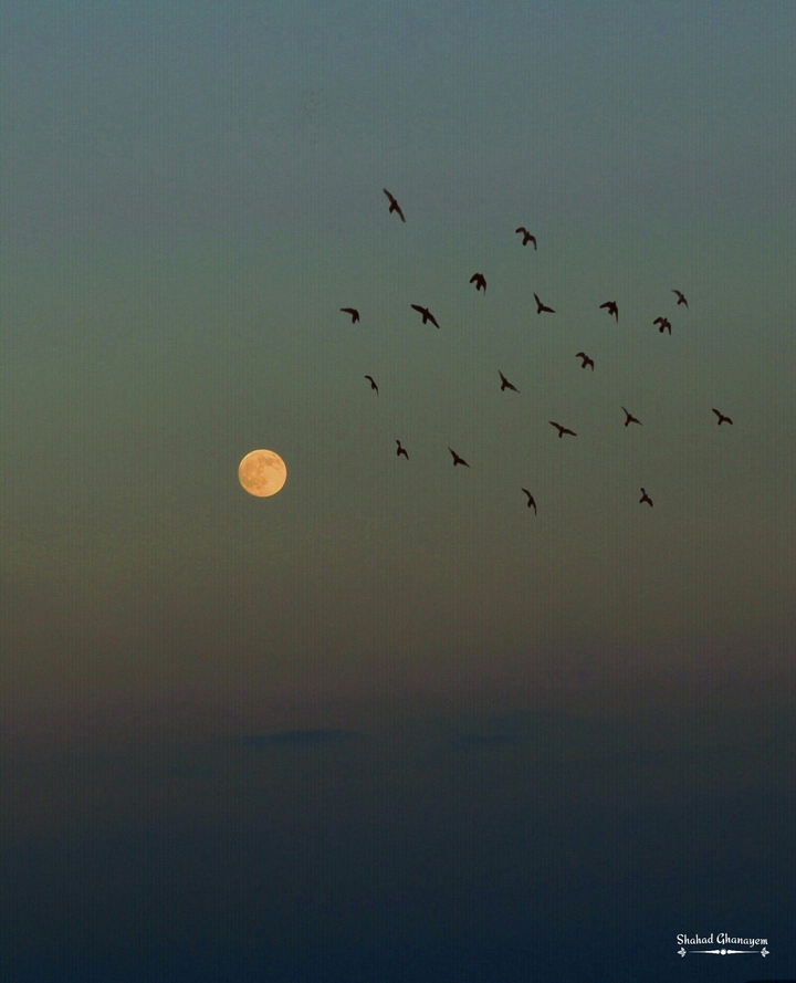 moon