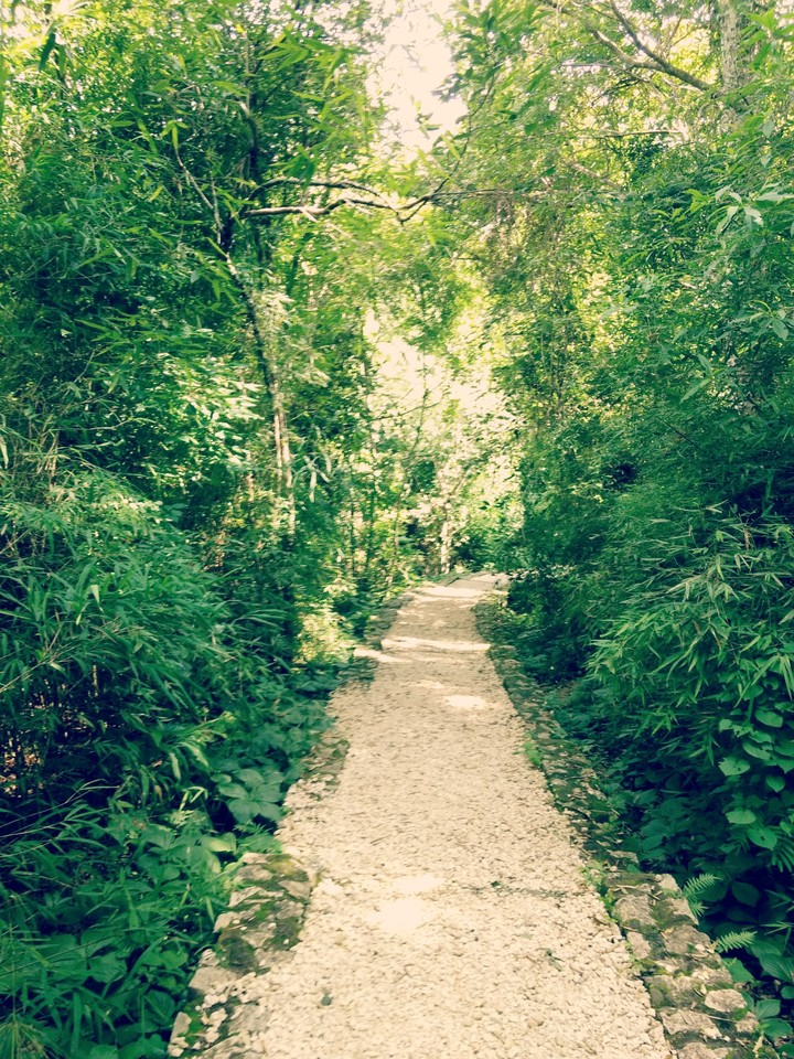 Paisaje