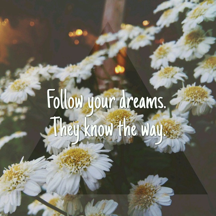Follow your dreams.