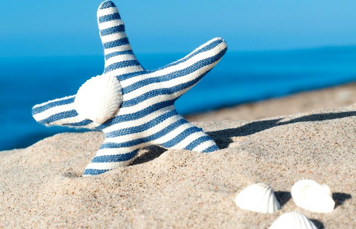 Blue starfish