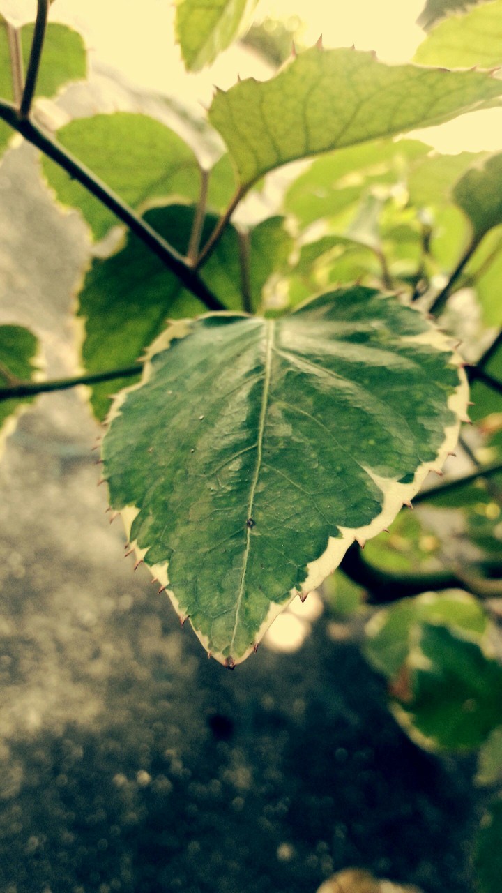 Leave