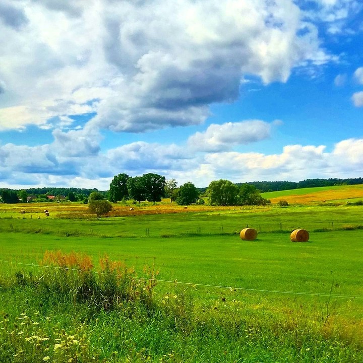 fields