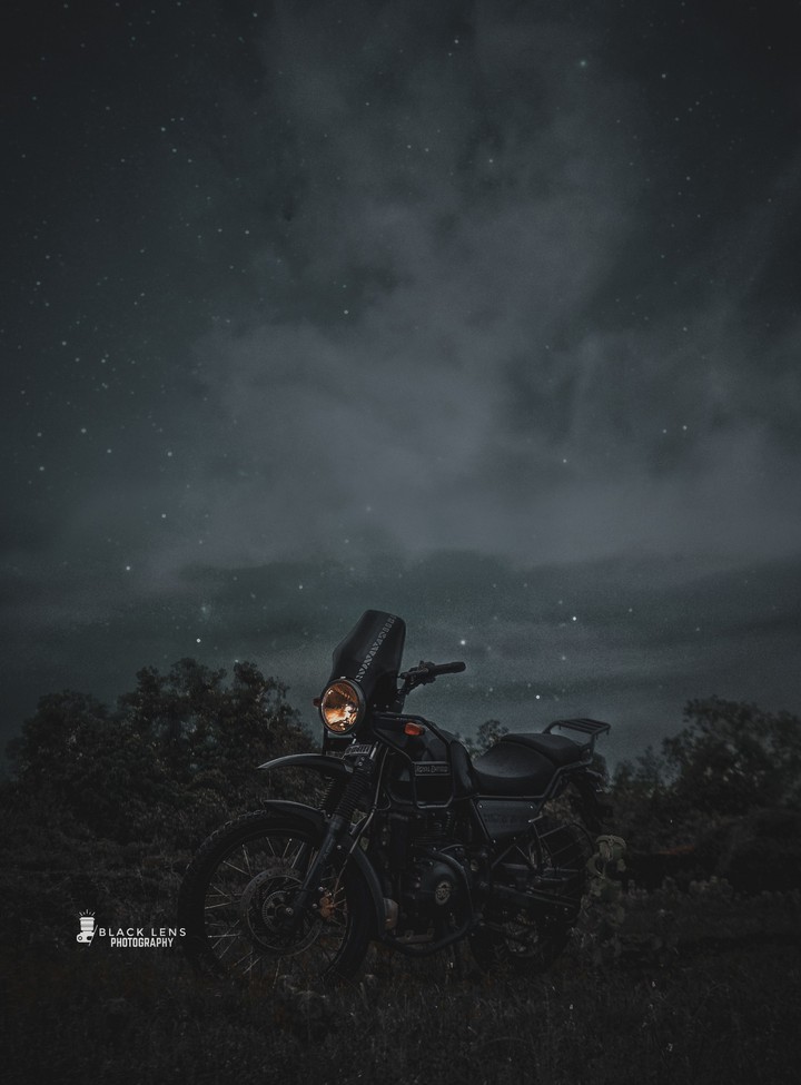 black panther