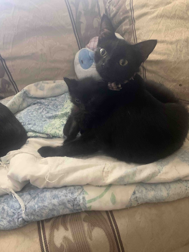 Mama & Baby