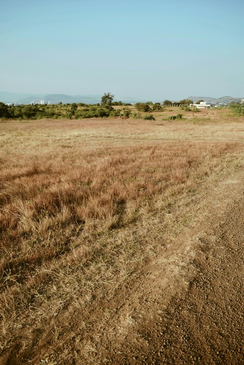 field