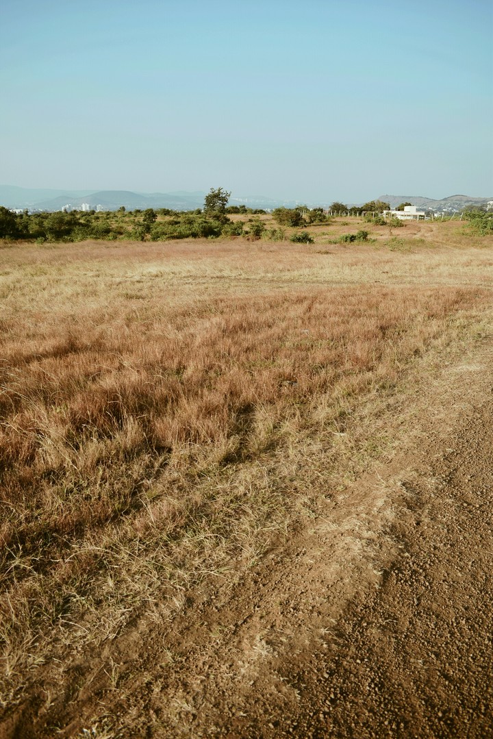 field