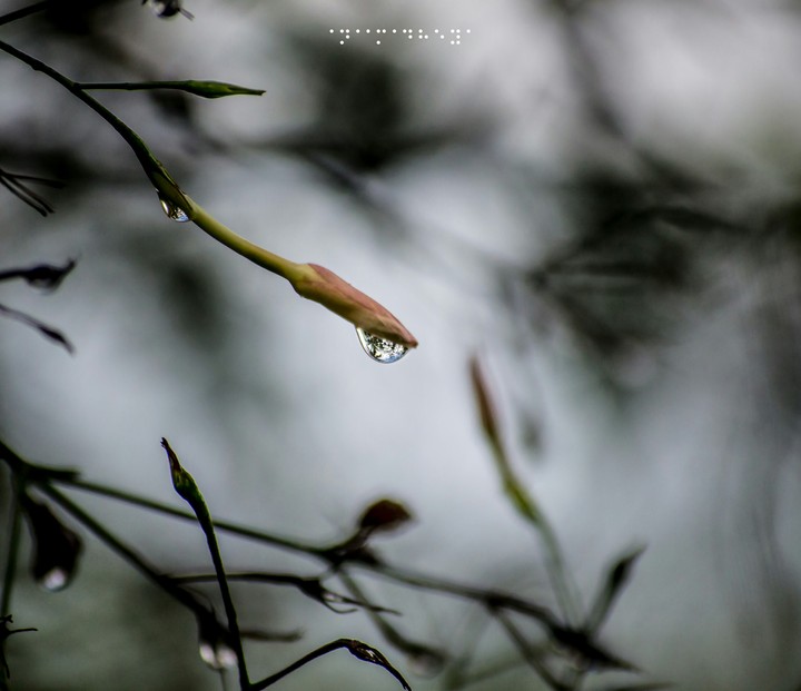 dropping the drops