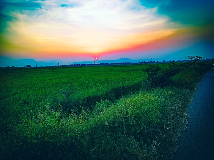 nature