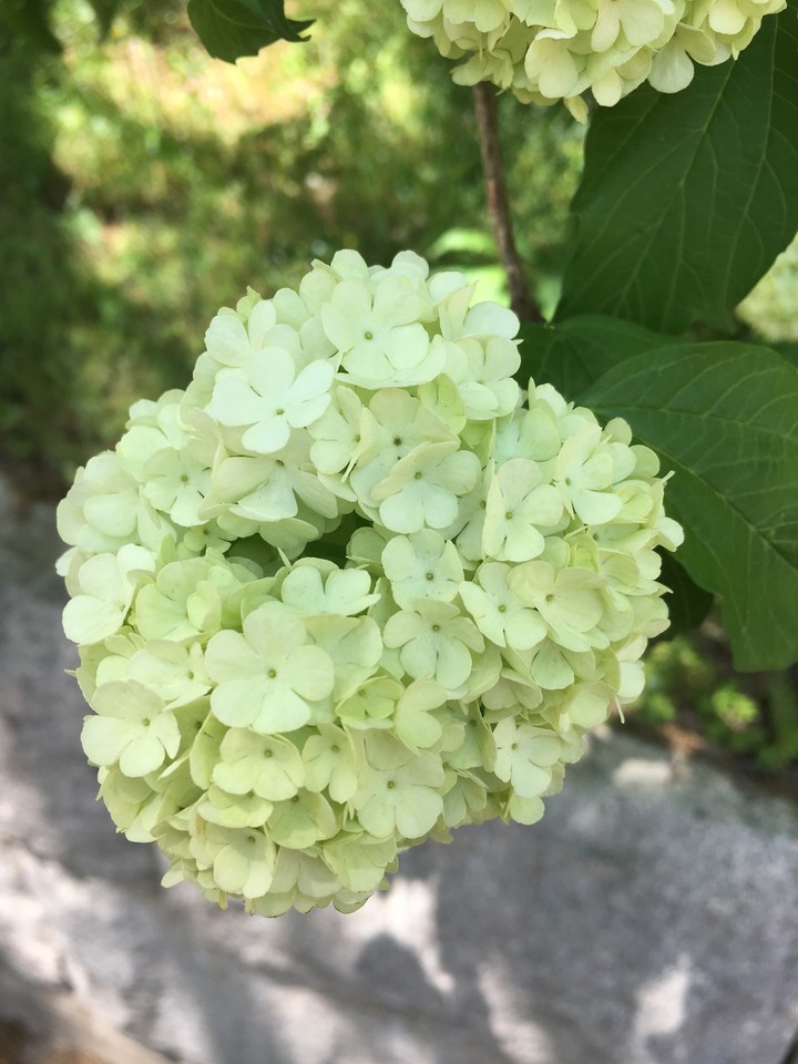 통도사