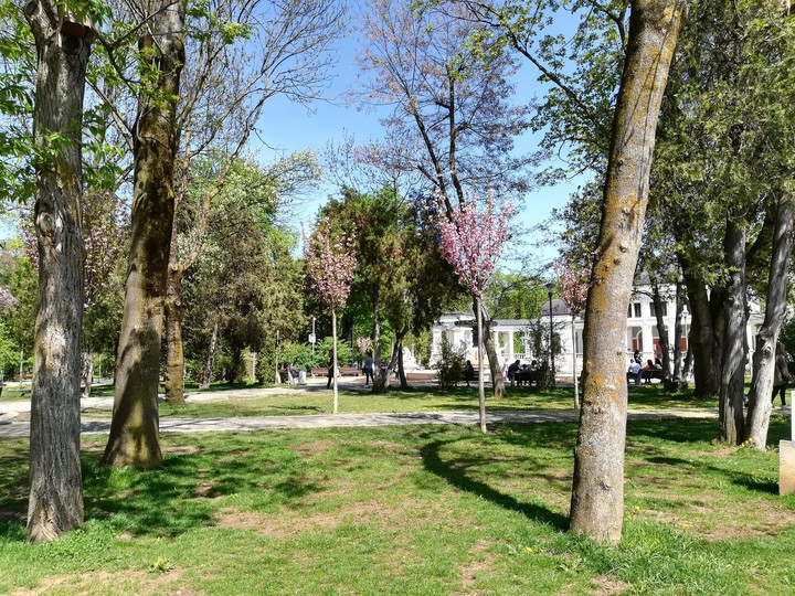 Cluj-Napoca.