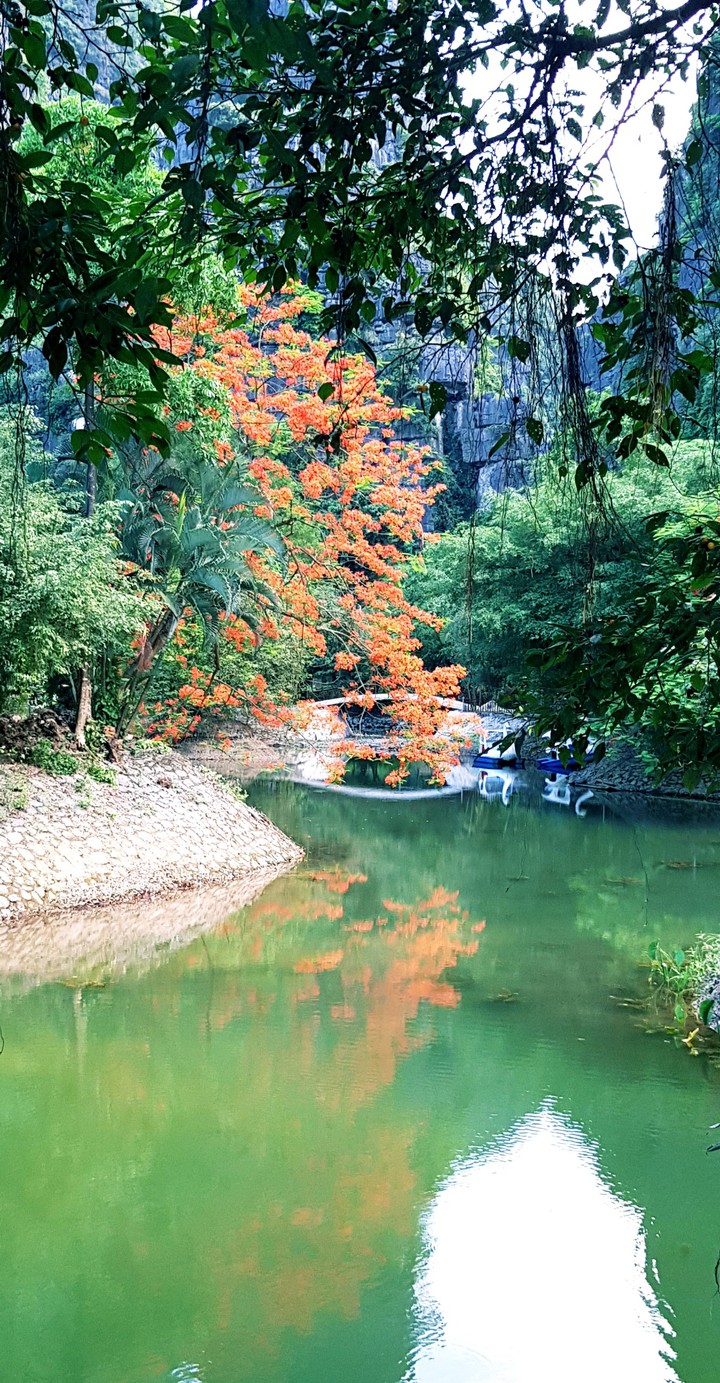 Một thuở mộng mơ