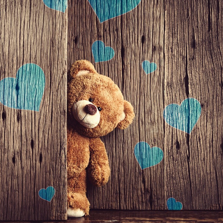 teddy 