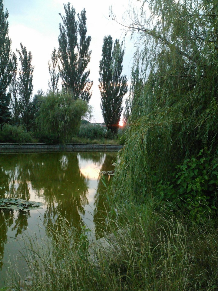 вечер на пруду