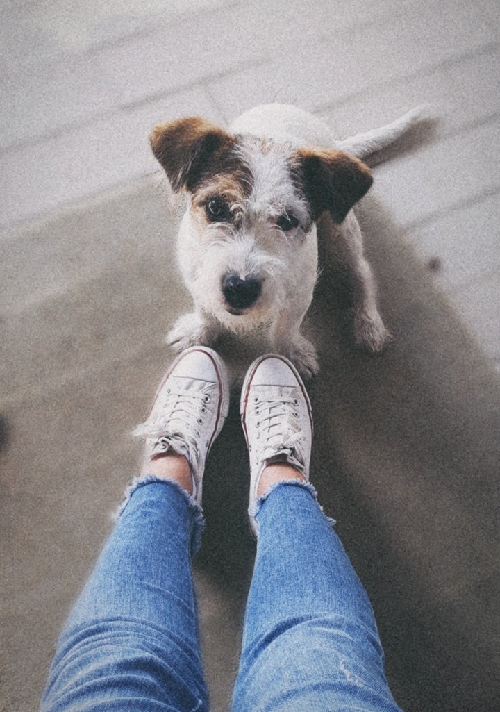 my dog ♡