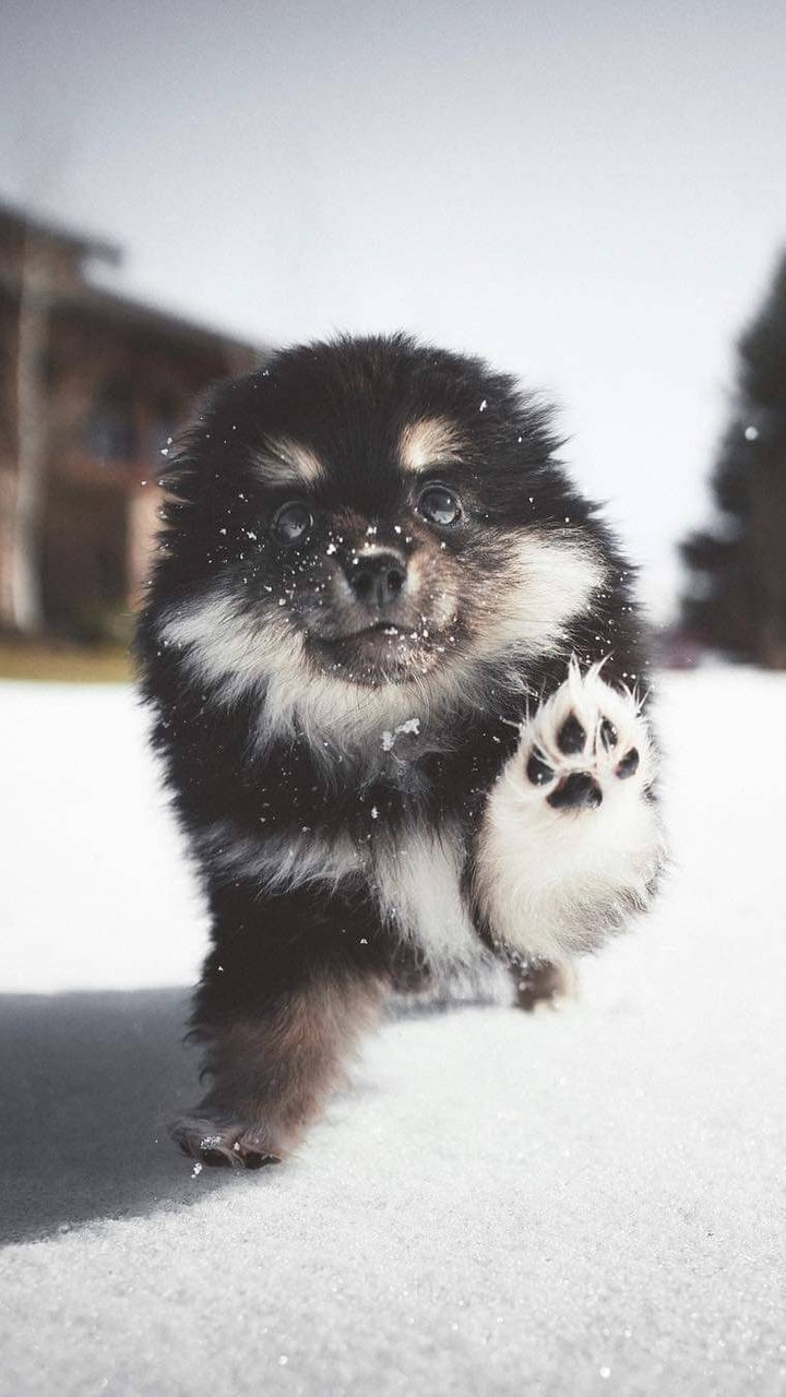 Cute ?