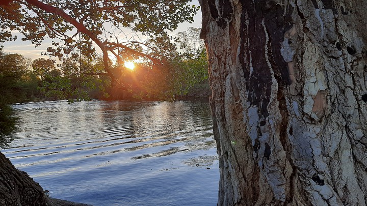 Sunset from the trees