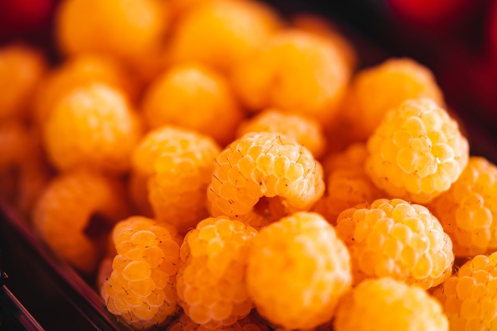 oranges