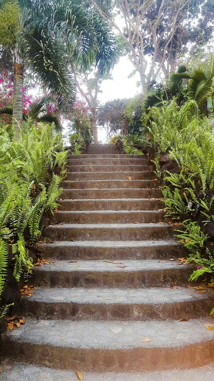 Stairs to the well