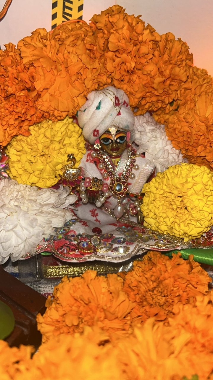 Janmashtami celebration