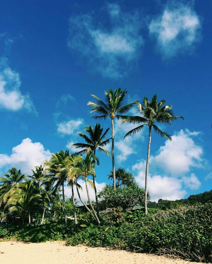 nature