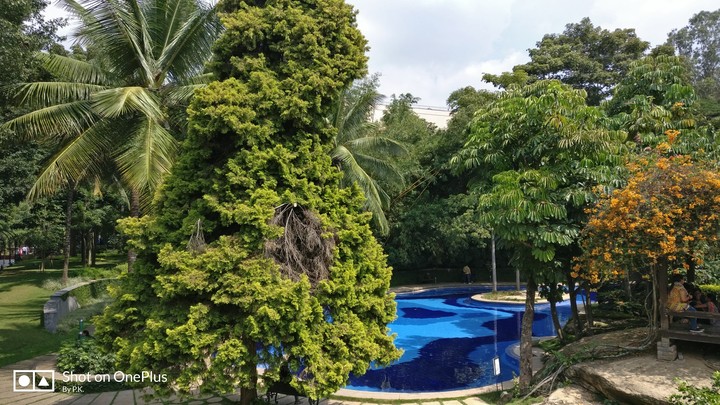 Infosys swimming pool