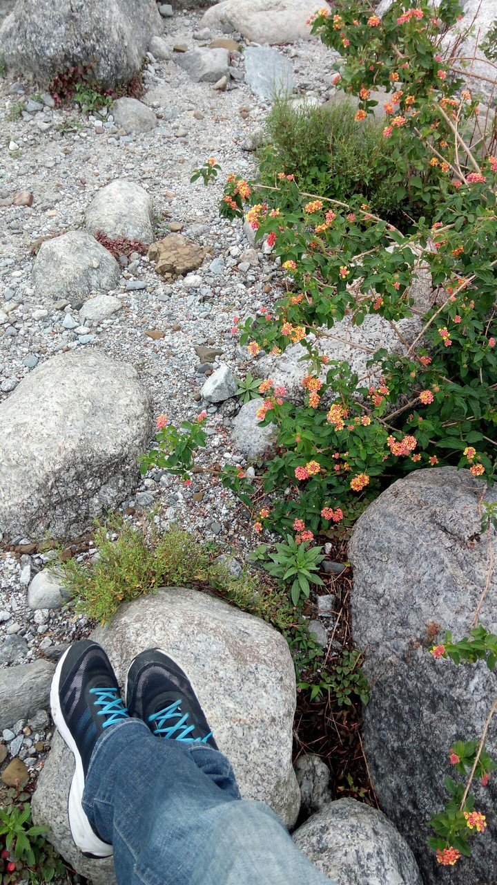 nature