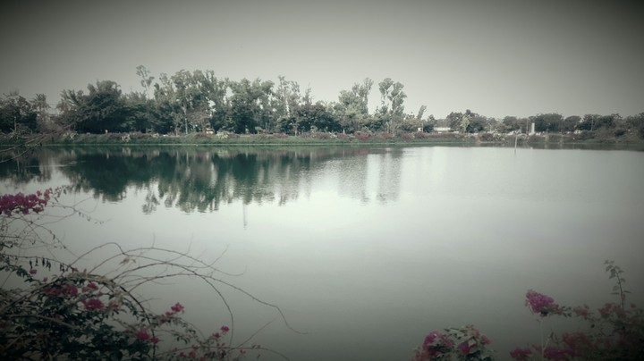 lake