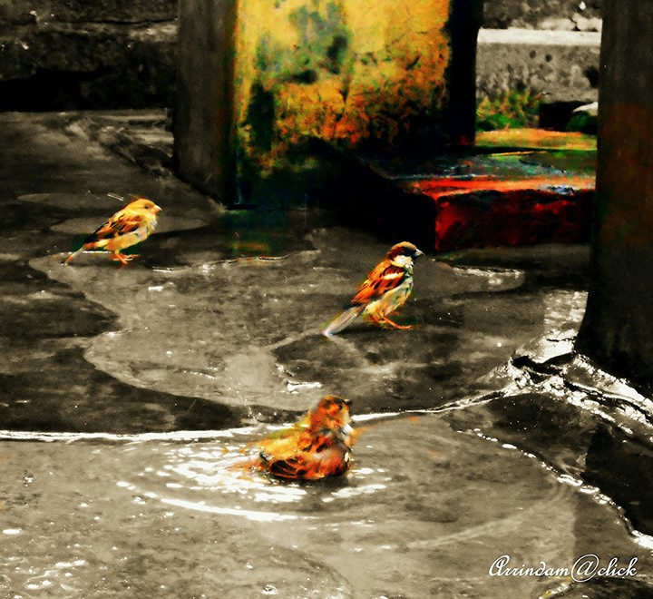Bath after a long summer day