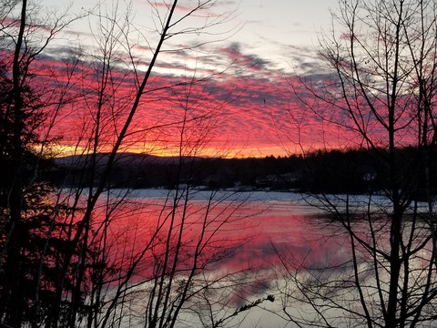 morning river