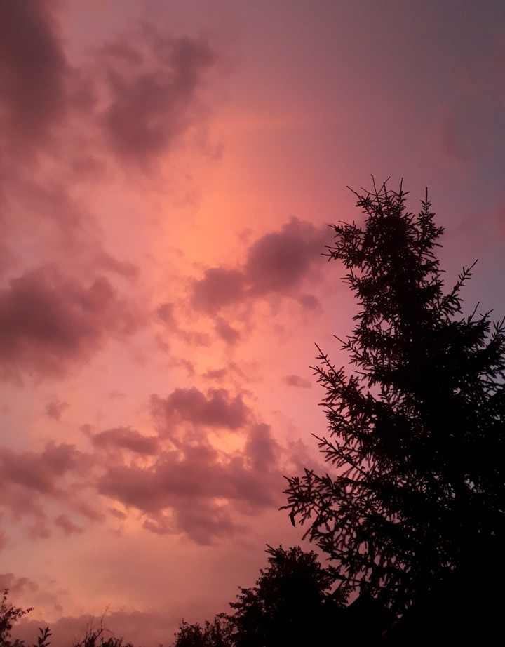 before the storm