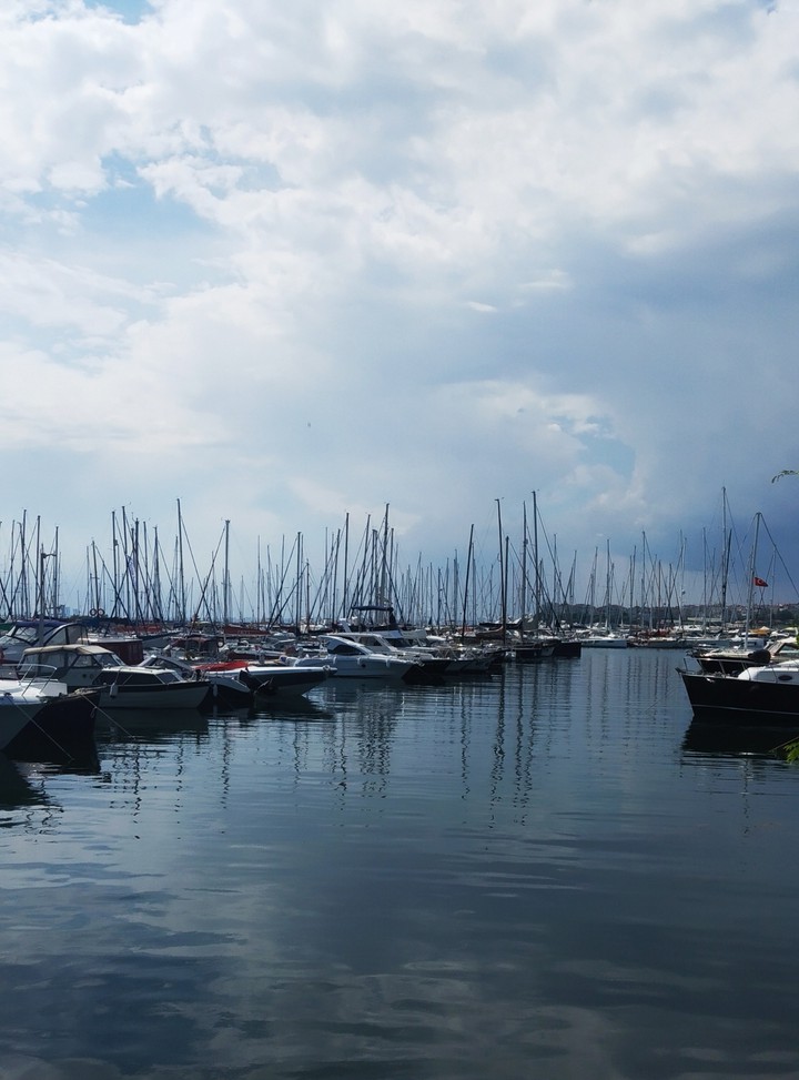 Sea